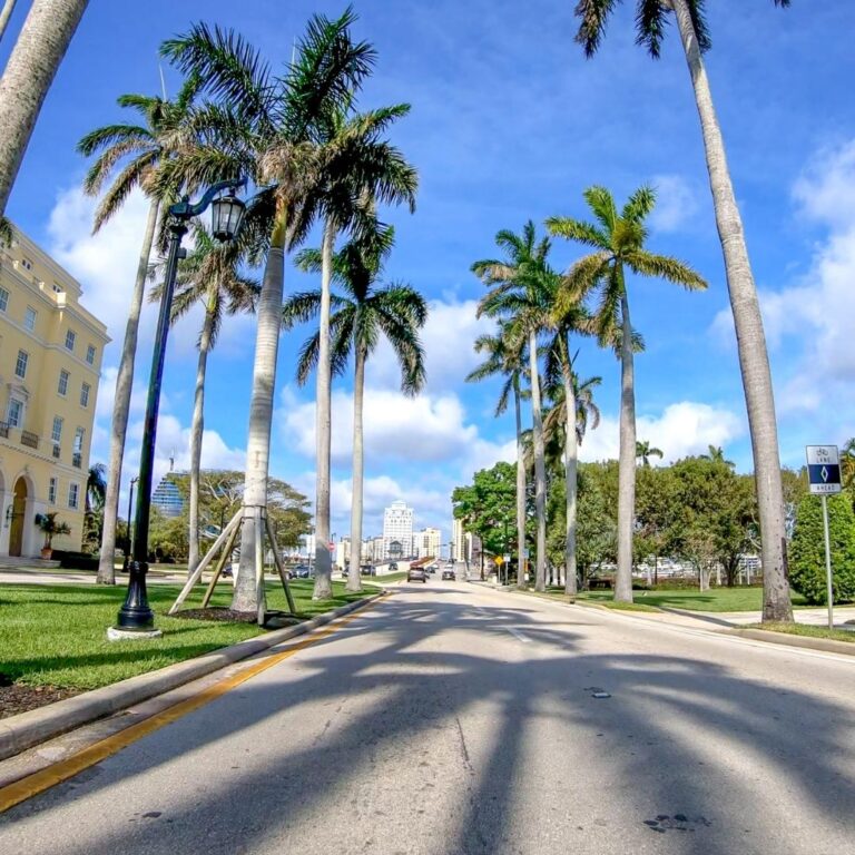 Driving to the park Orlando, FL